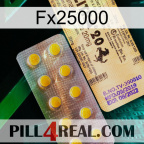 Fx25000 new06